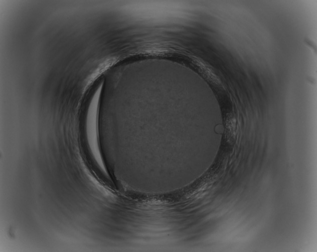 X0000095540734200712141524