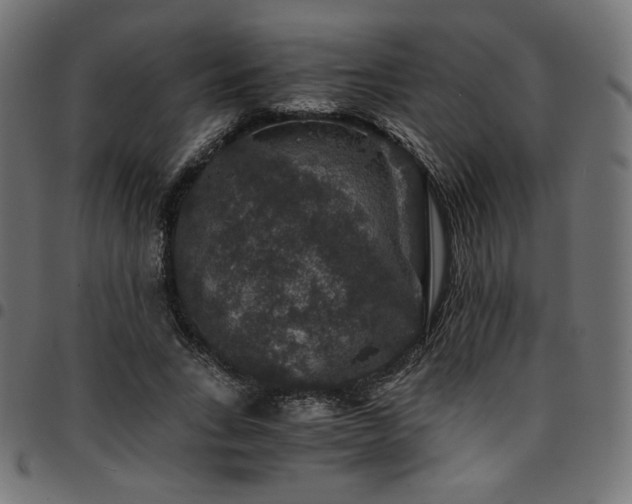 X0000095540735200712141524