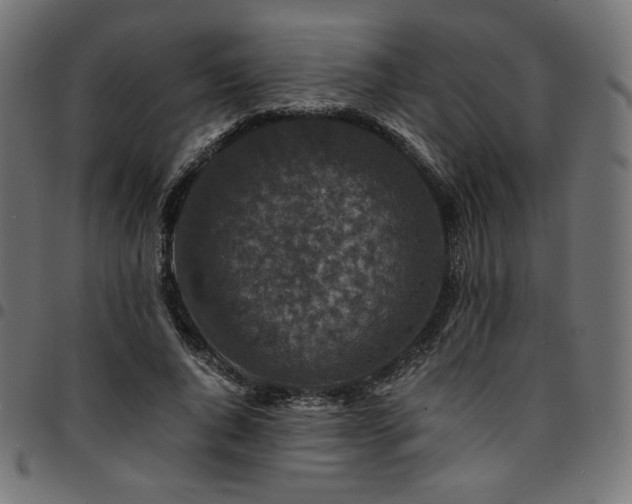 X0000095540736200712141524