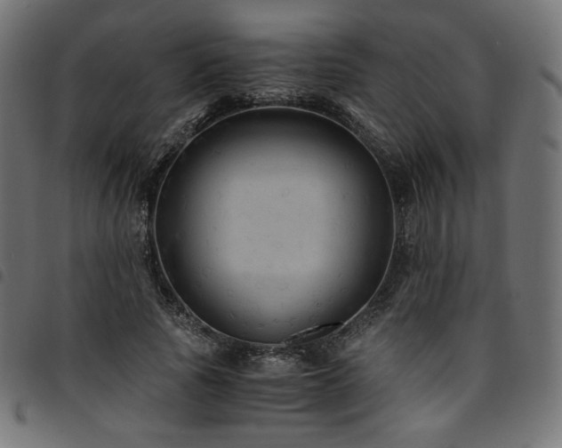 X0000095540737200712141524