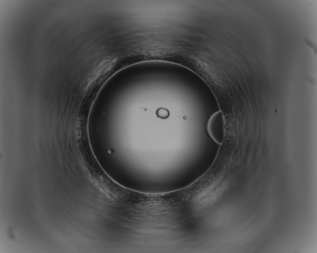 X0000095540738200712141524