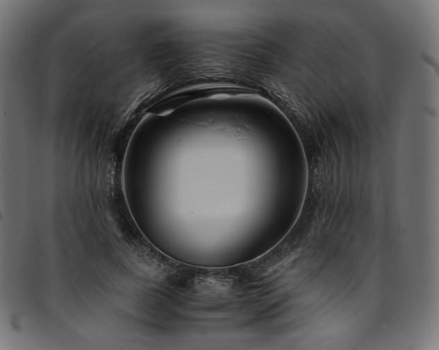 X0000095540739200712141524