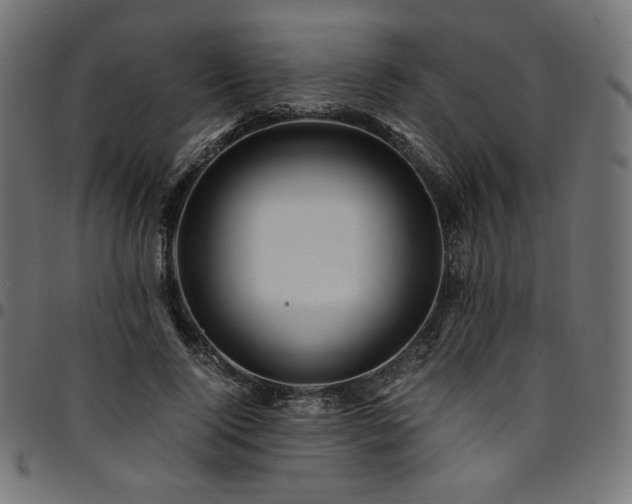 X0000095540740200712141524