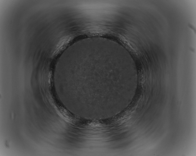 X0000095540742200712141524