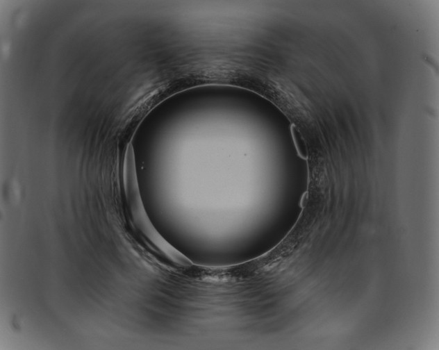 X0000095540744200712141524