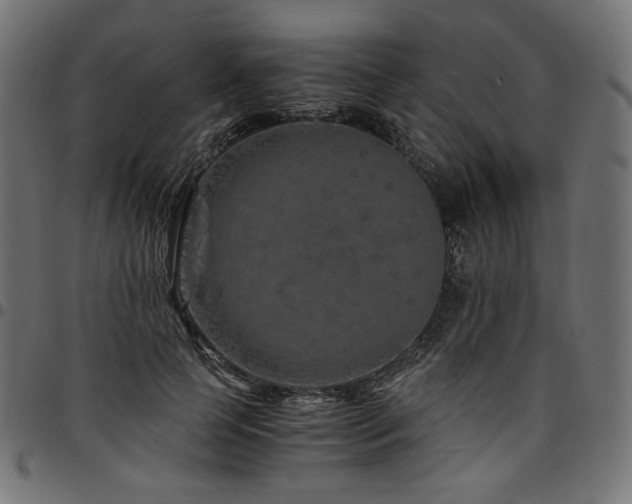 X0000095540745200712141524