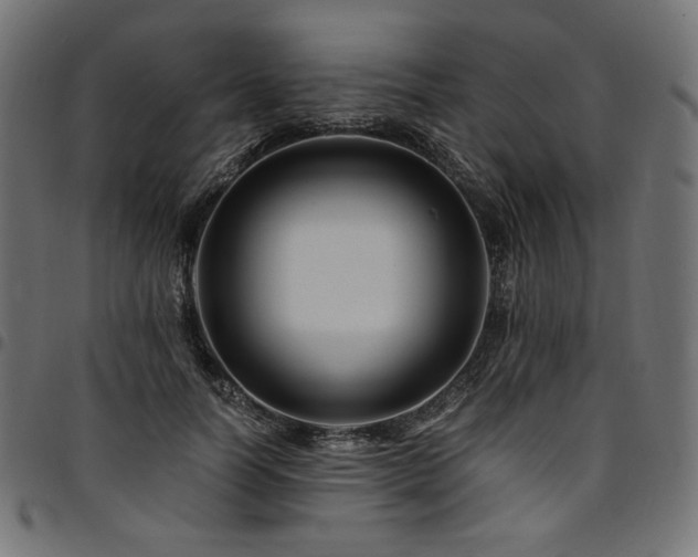 X0000095540746200712141524