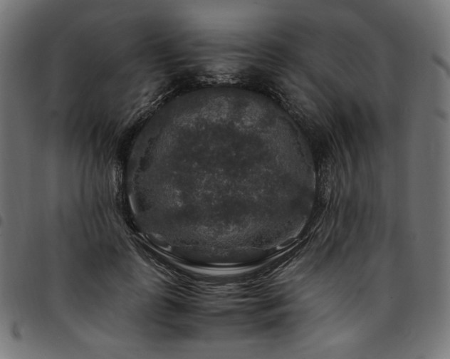 X0000095540747200712141524