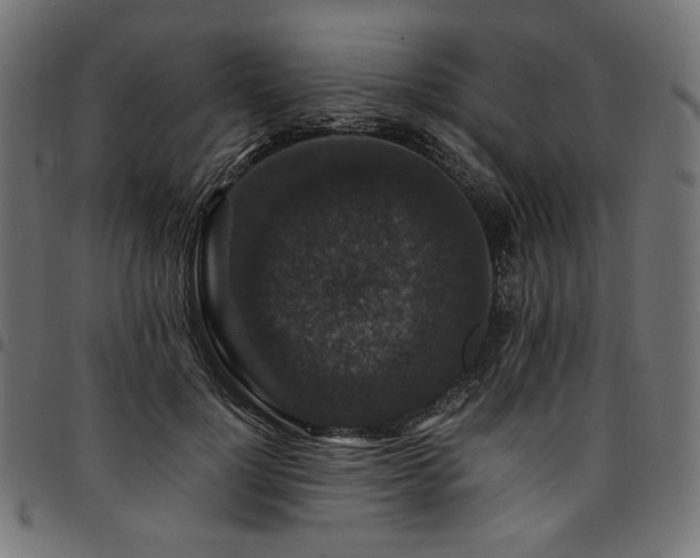 X0000095540748200712141524