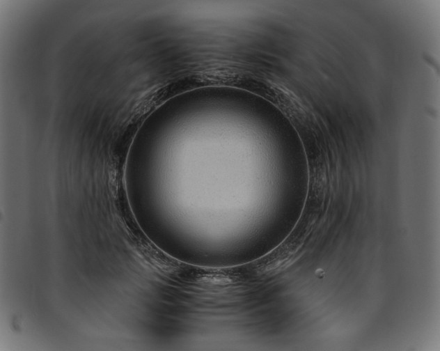 X0000095540749200712141524