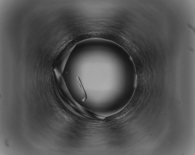 X0000095540750200712141524