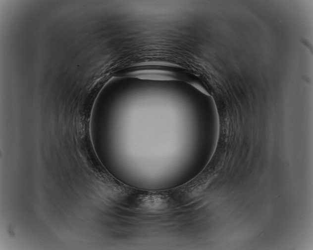 X0000095540751200712141524