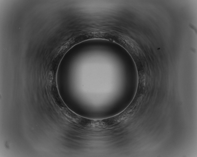 X0000095540752200712141524