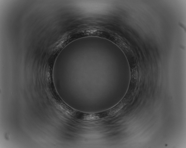 X0000095540754200712141524