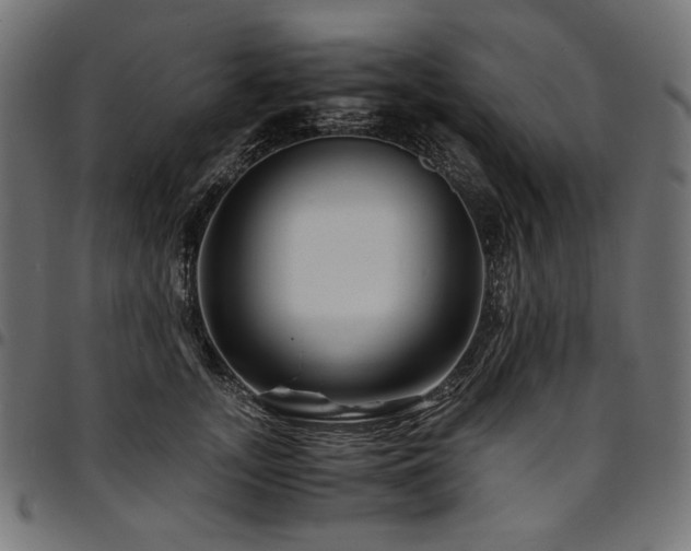 X0000095540755200712141524