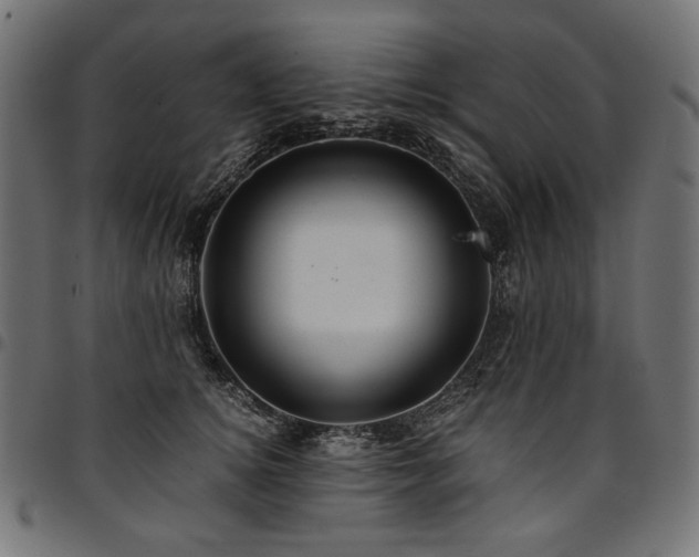 X0000095540756200712141524