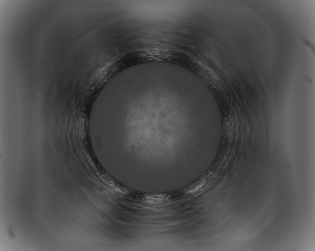 X0000095540757200712141524