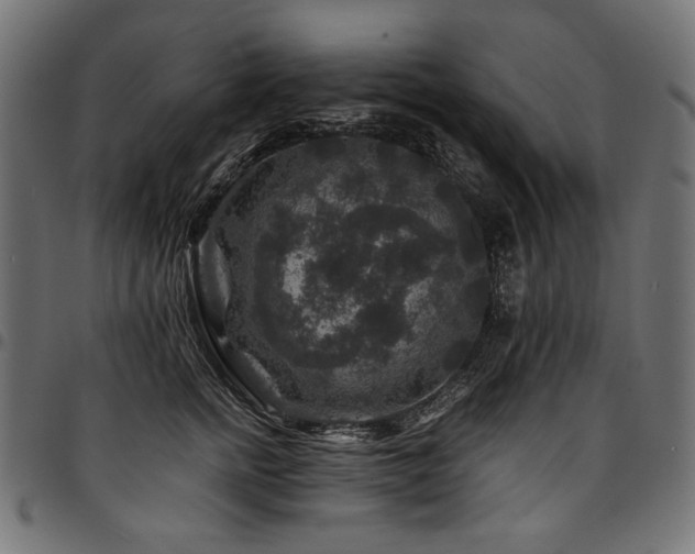 X0000095540758200712141524