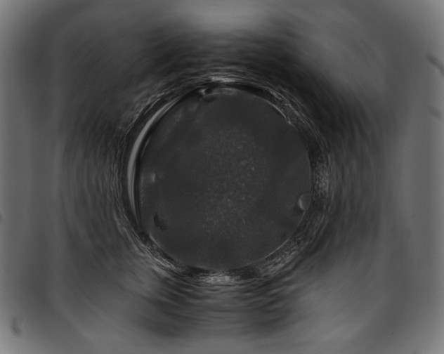 X0000095540759200712141524