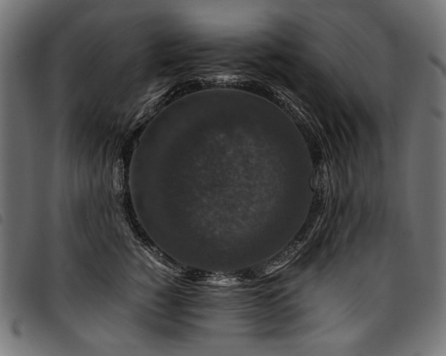 X0000095540760200712141524