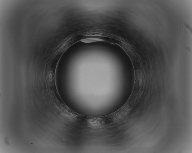 X0000095540761200712141524