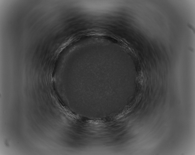 X0000095540763200712141524