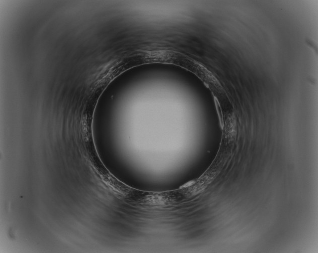 X0000095540764200712141524