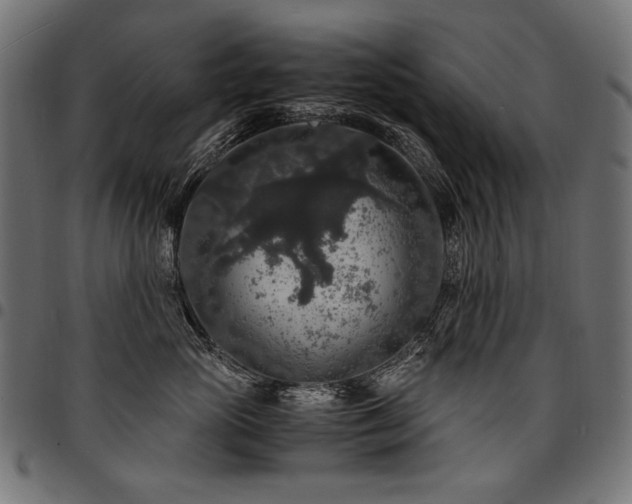 X0000095540765200712141524