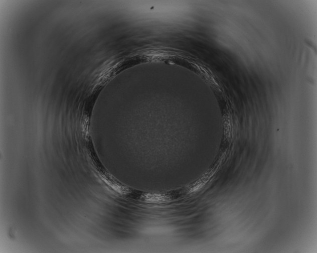 X0000095540766200712141524