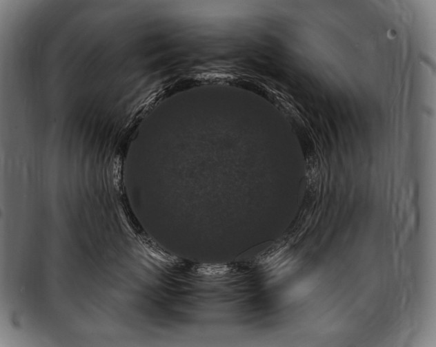 X0000095540767200712141524