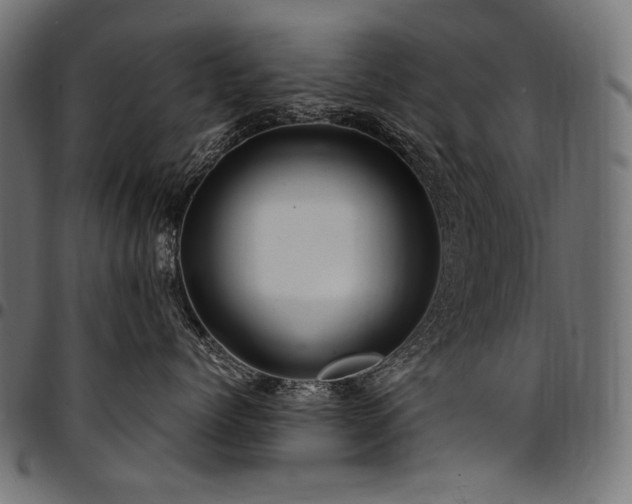 X0000095540768200712141524