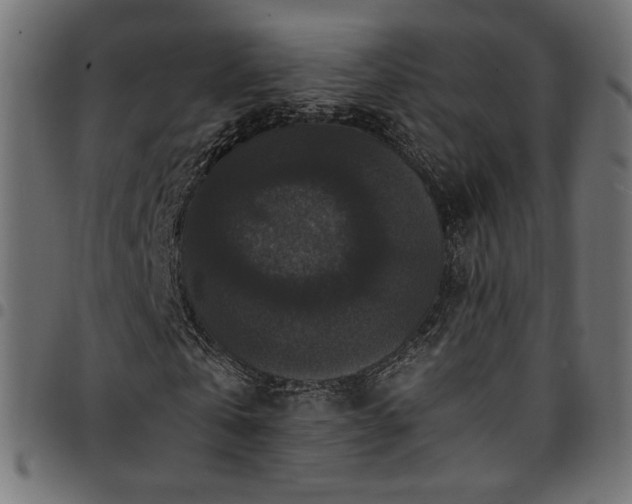 X0000095540769200712141524