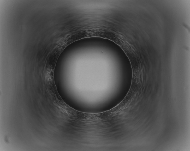 X0000095540770200712141524