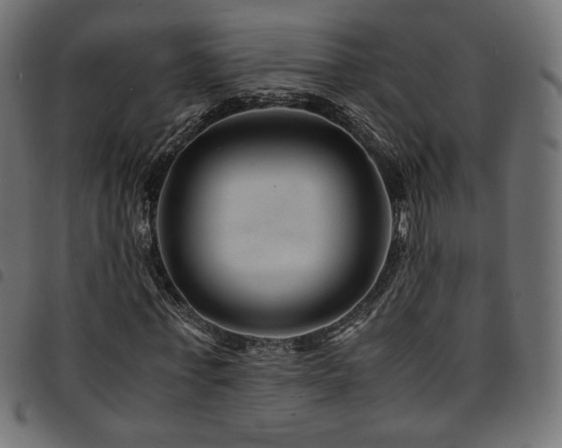 X0000095540771200712141524