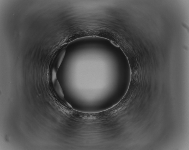 X0000095540772200712141524