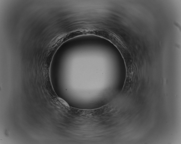 X0000095540773200712141524