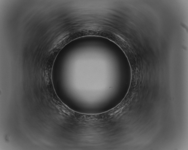 X0000095540774200712141524