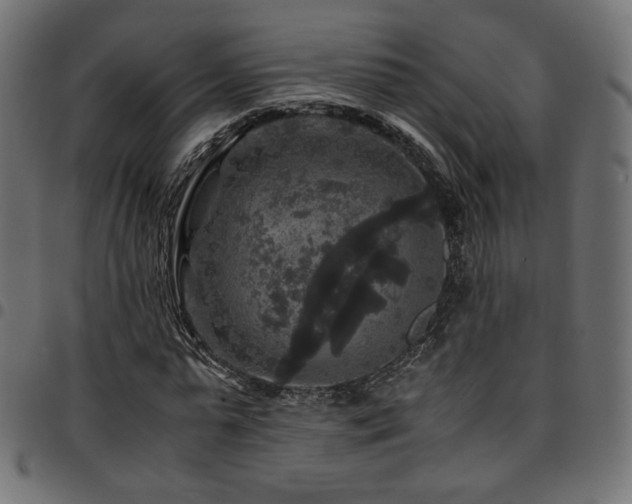 X0000095540775200712141524