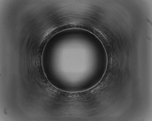 X0000095540776200712141524