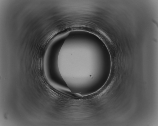 X0000095540777200712141524