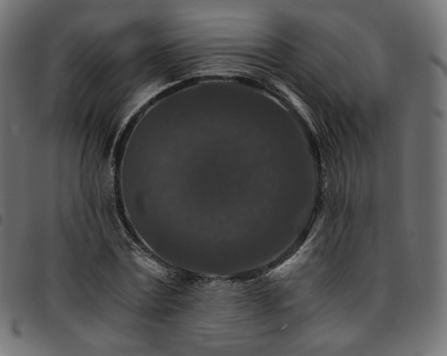 X0000095540779200712141524