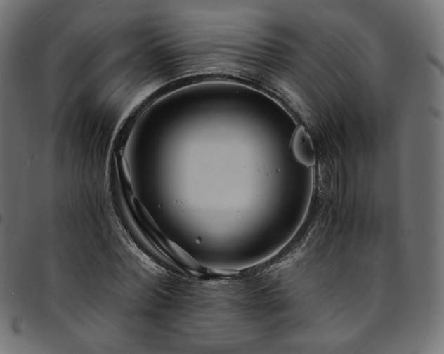 X0000095540780200712141524