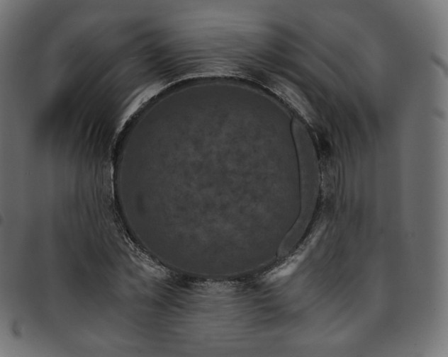 X0000095540781200712141524