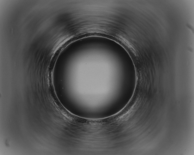 X0000095540782200712141524