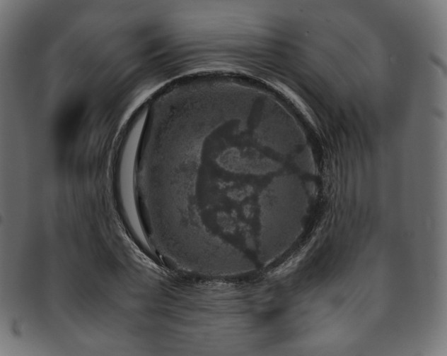 X0000095540783200712141524