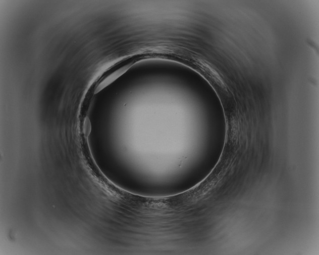 X0000095540784200712141524