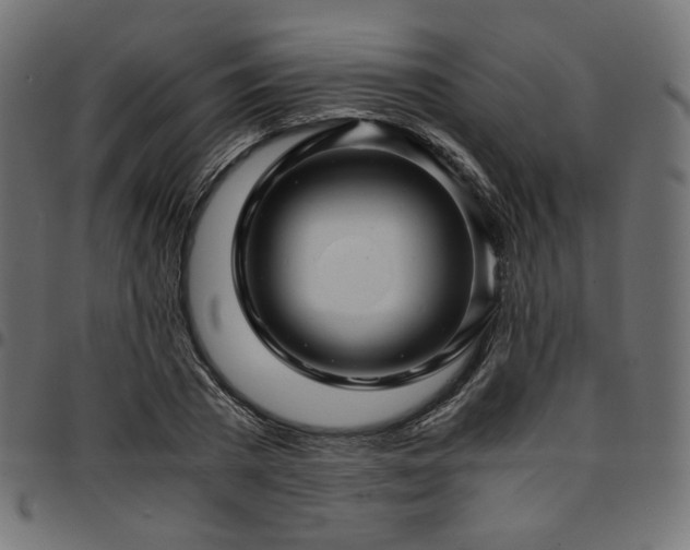 X0000095540785200712141524