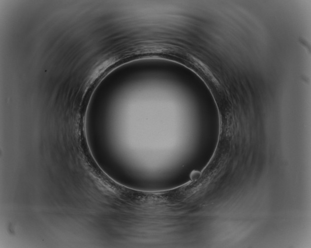 X0000095540786200712141524