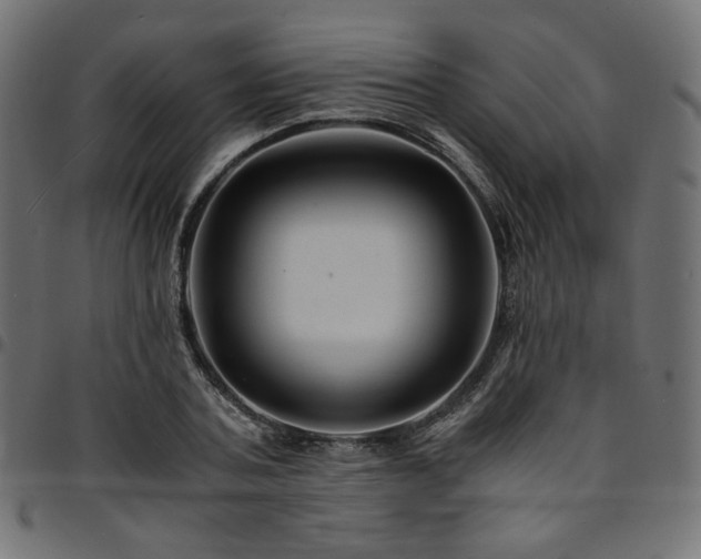 X0000095540787200712141524