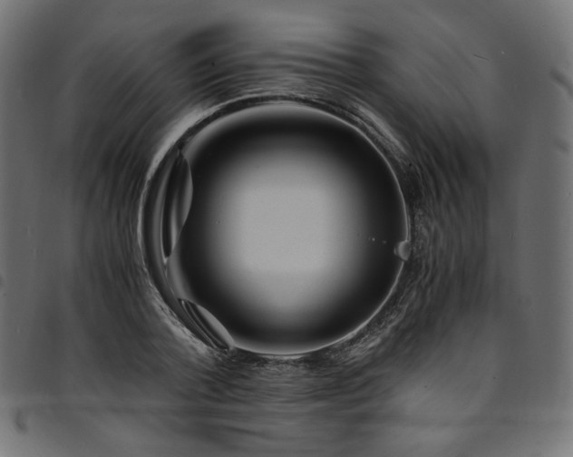 X0000095540788200712141524